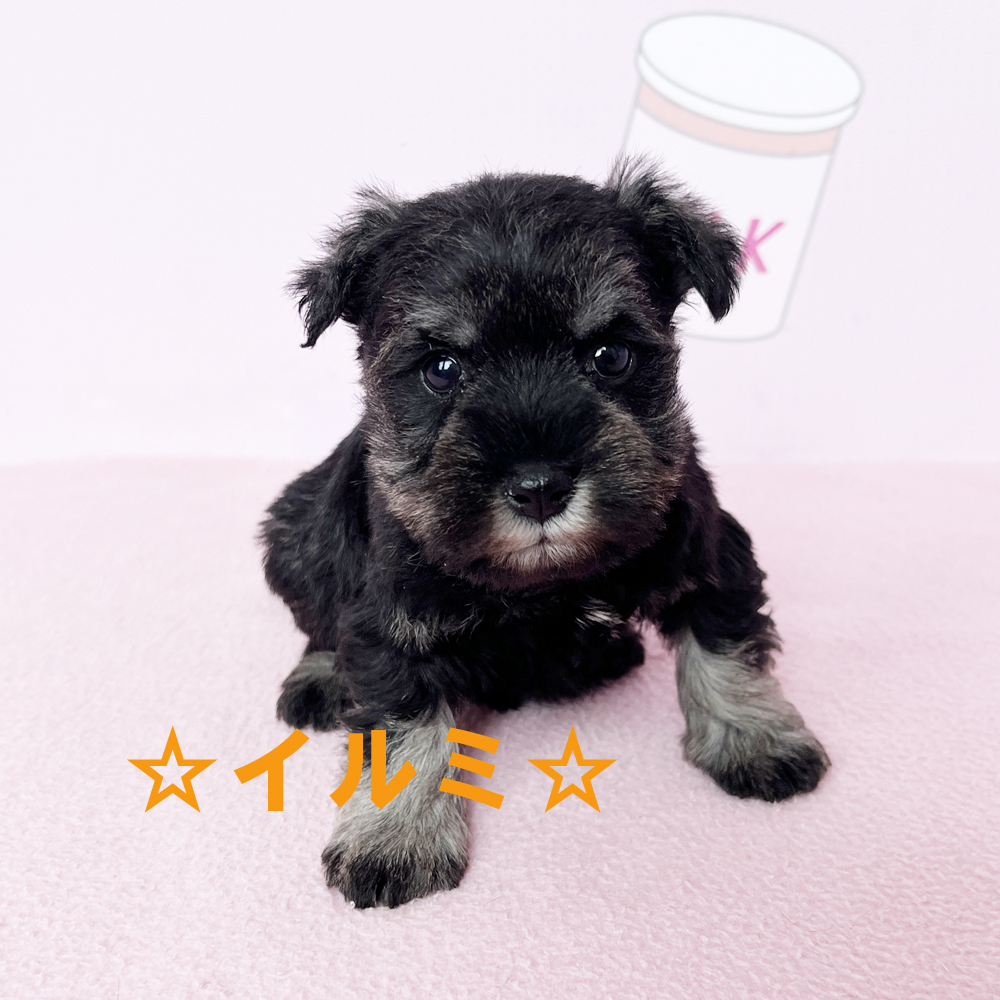 新しい仲間が増えました♪